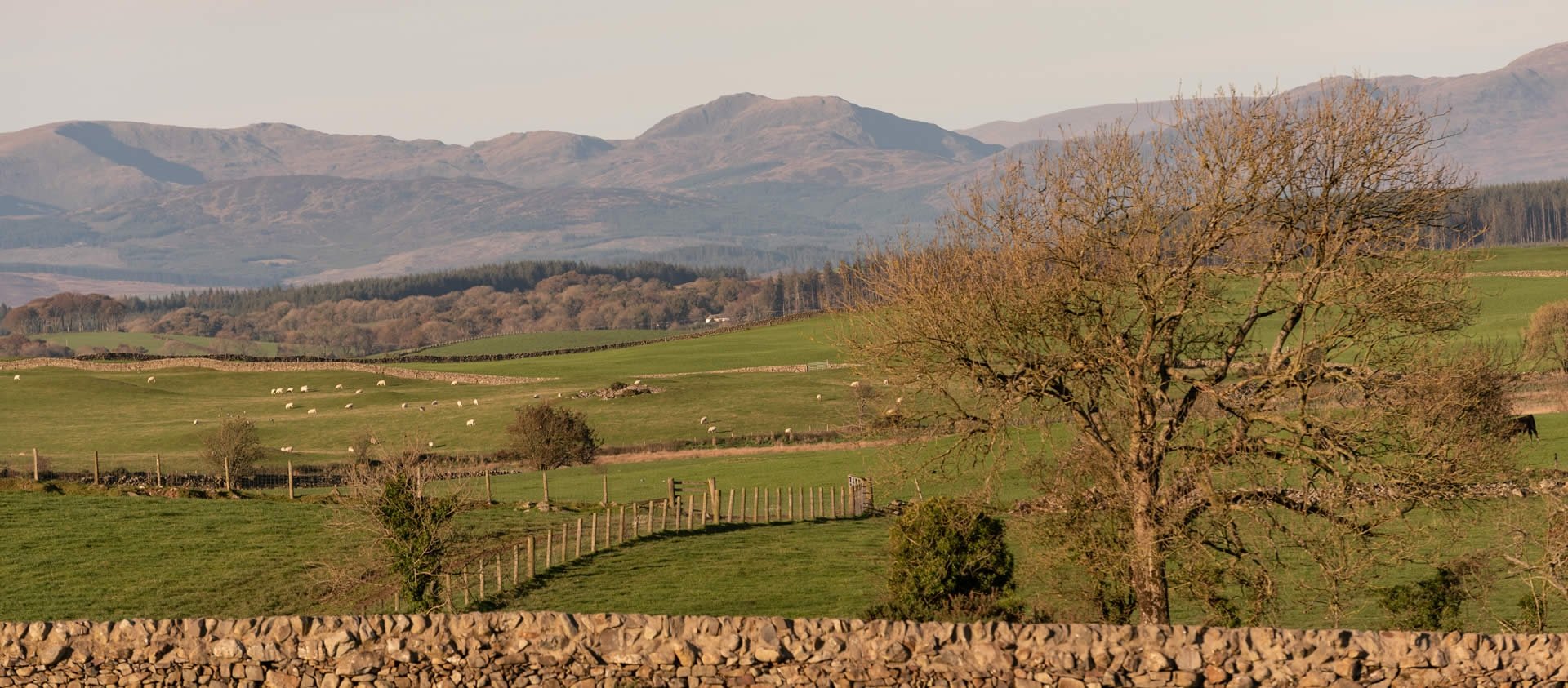 Rural Gym Newton Stewart