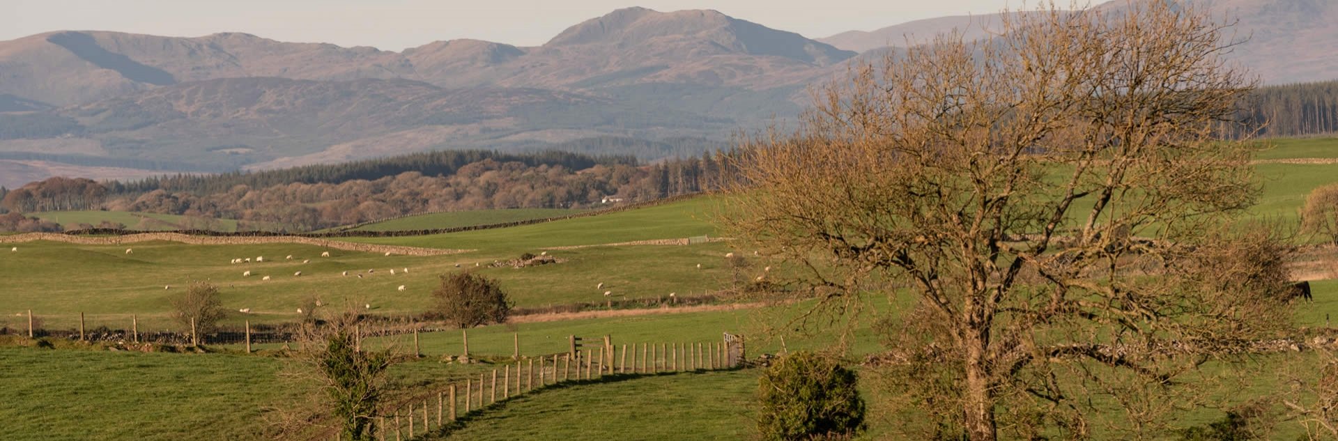 Rural Gym Newton Stewart